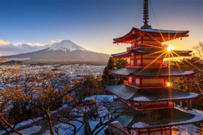 JAPAN SPRING TOUR 5 DAYS 4 NIGHTS – DA NANG – MOUNT FUJI – TOKYO