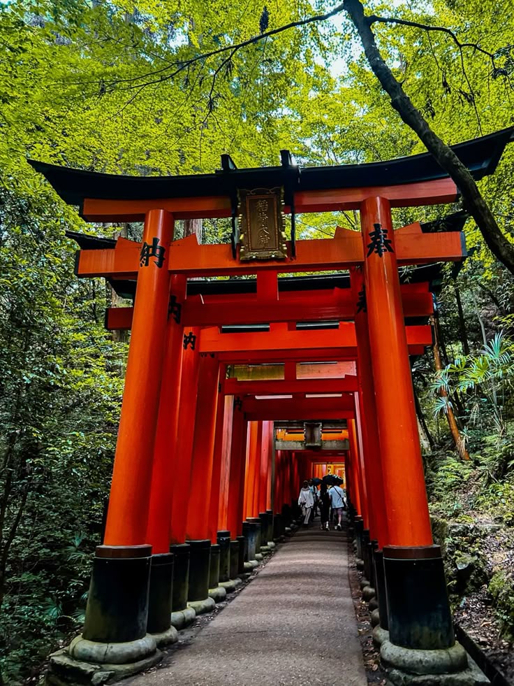 Chùa nghìn cột Fushimi Inari